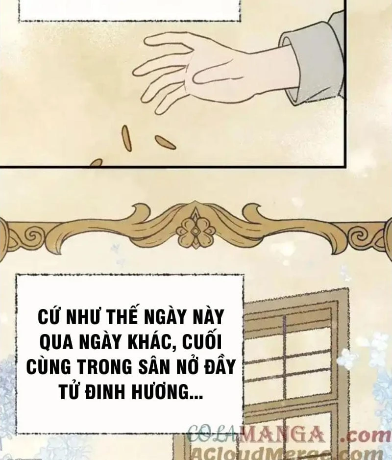 Tôi Đã Bị Quyến Rũ Bởi Nam Chính Ốm Yếu Chapter 72 - 51