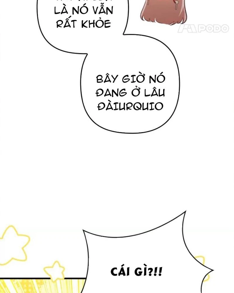 Tôi Đã Bị Quyến Rũ Bởi Nam Chính Ốm Yếu Chapter 77 - 66