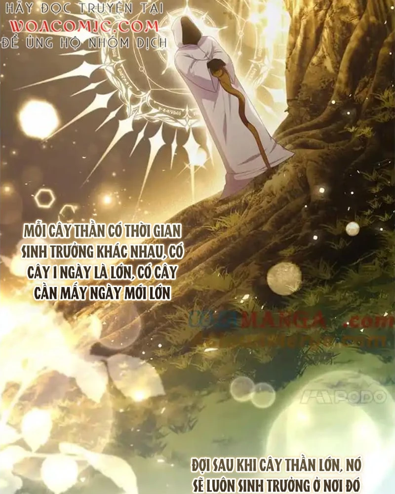 Tôi Đã Bị Quyến Rũ Bởi Nam Chính Ốm Yếu Chapter 80 - 42