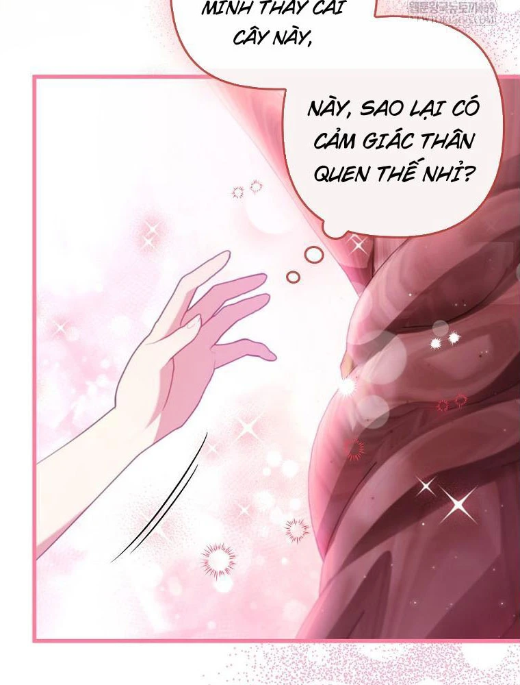 Tôi Đã Bị Quyến Rũ Bởi Nam Chính Ốm Yếu Chapter 94 - 66