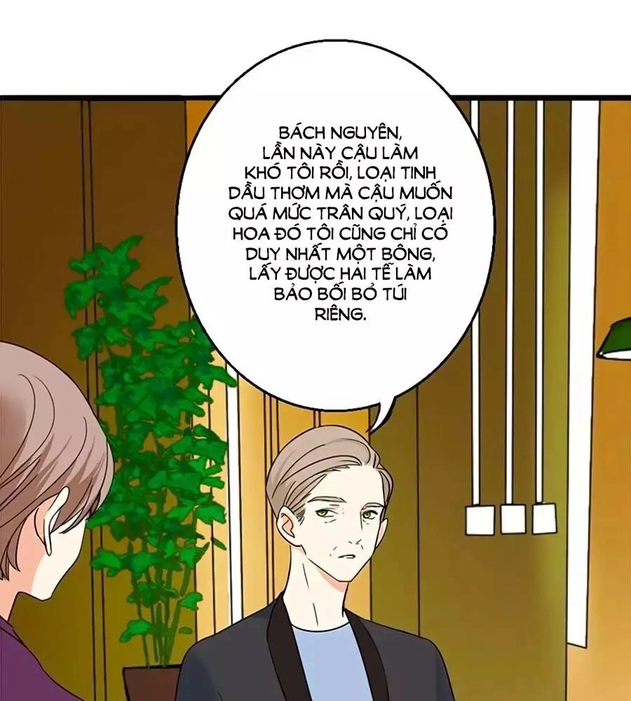 Mùi Hương Lãng Mạn Chapter 13 - 1