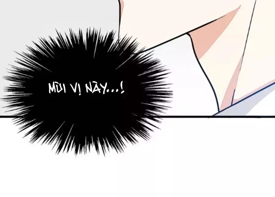 Mùi Hương Lãng Mạn Chapter 26 - 48