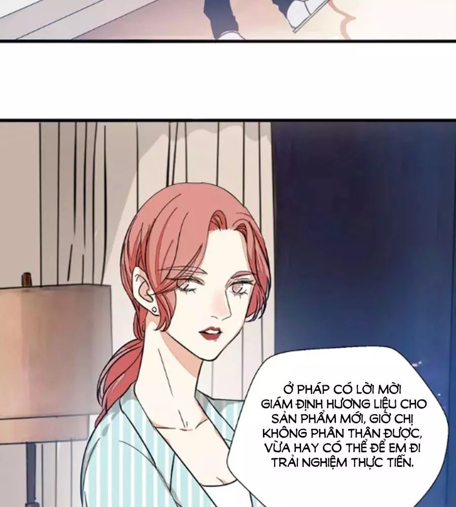 Mùi Hương Lãng Mạn Chapter 26 - 52