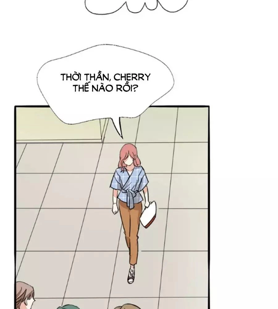 Mùi Hương Lãng Mạn Chapter 27 - 15