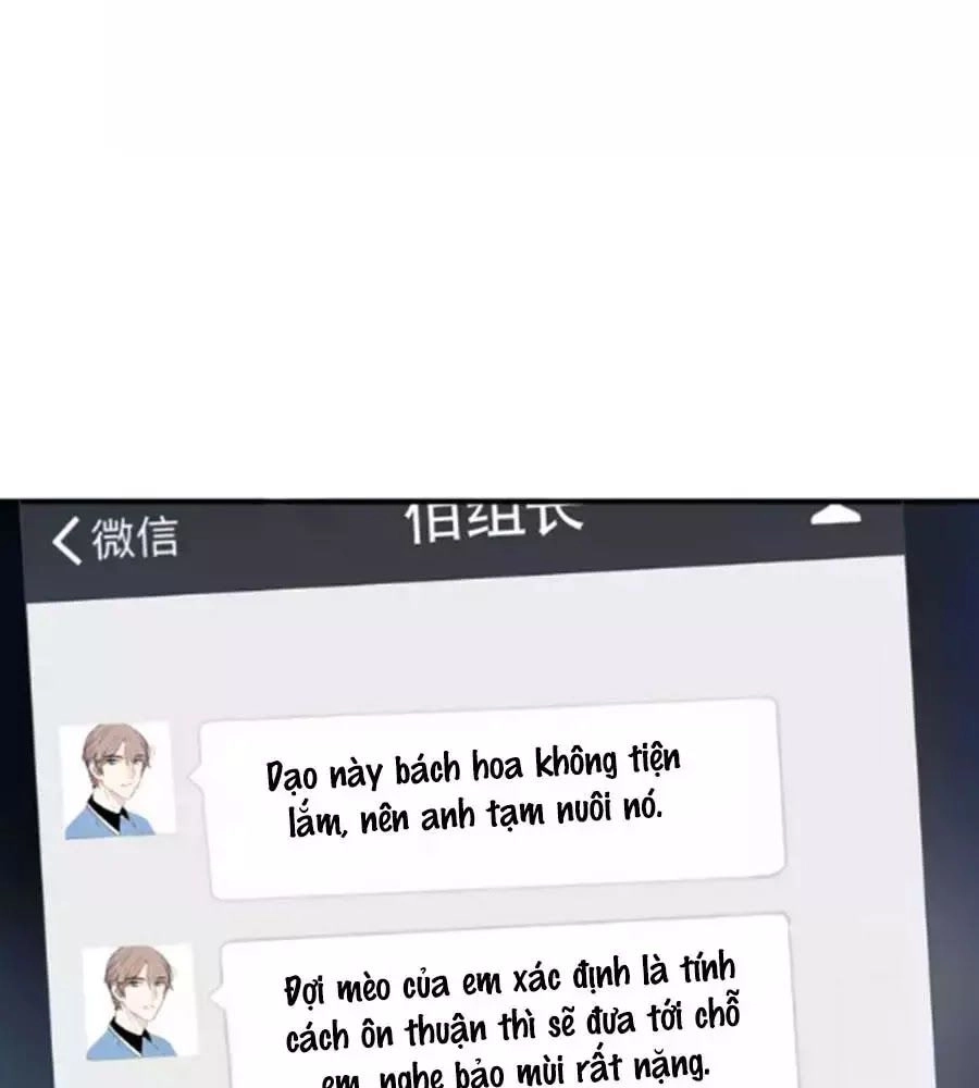 Mùi Hương Lãng Mạn Chapter 38 - 49