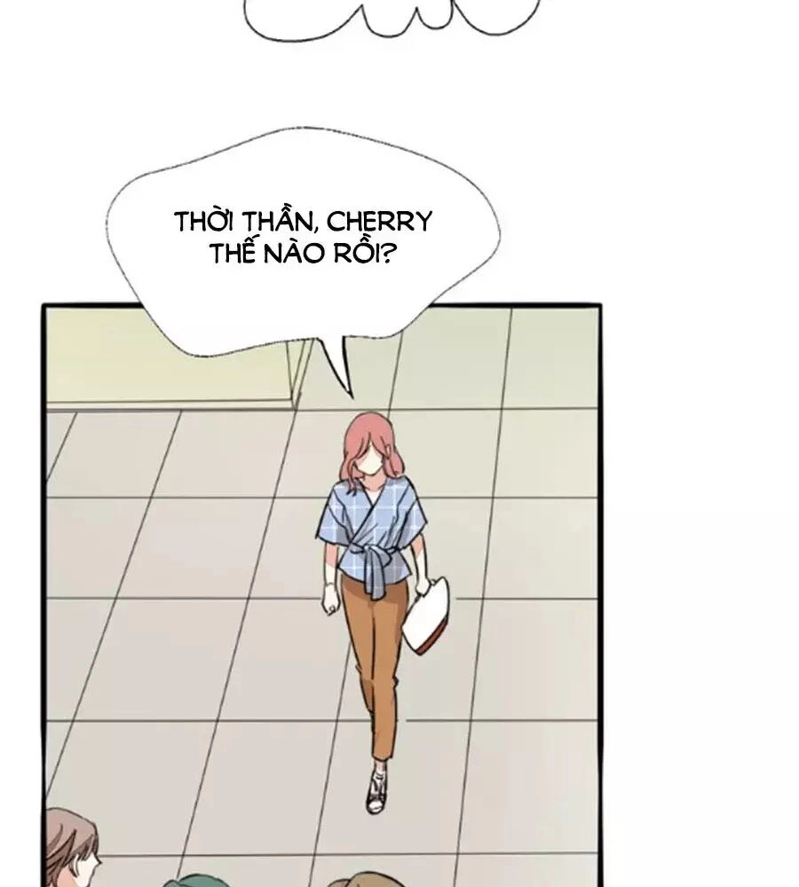 Mùi Hương Lãng Mạn Chapter 39 - 15