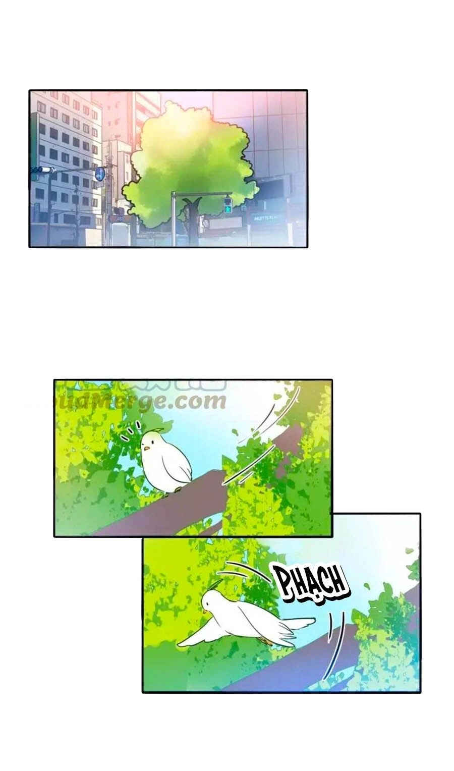 Mùi Hương Lãng Mạn Chapter 53 - 16