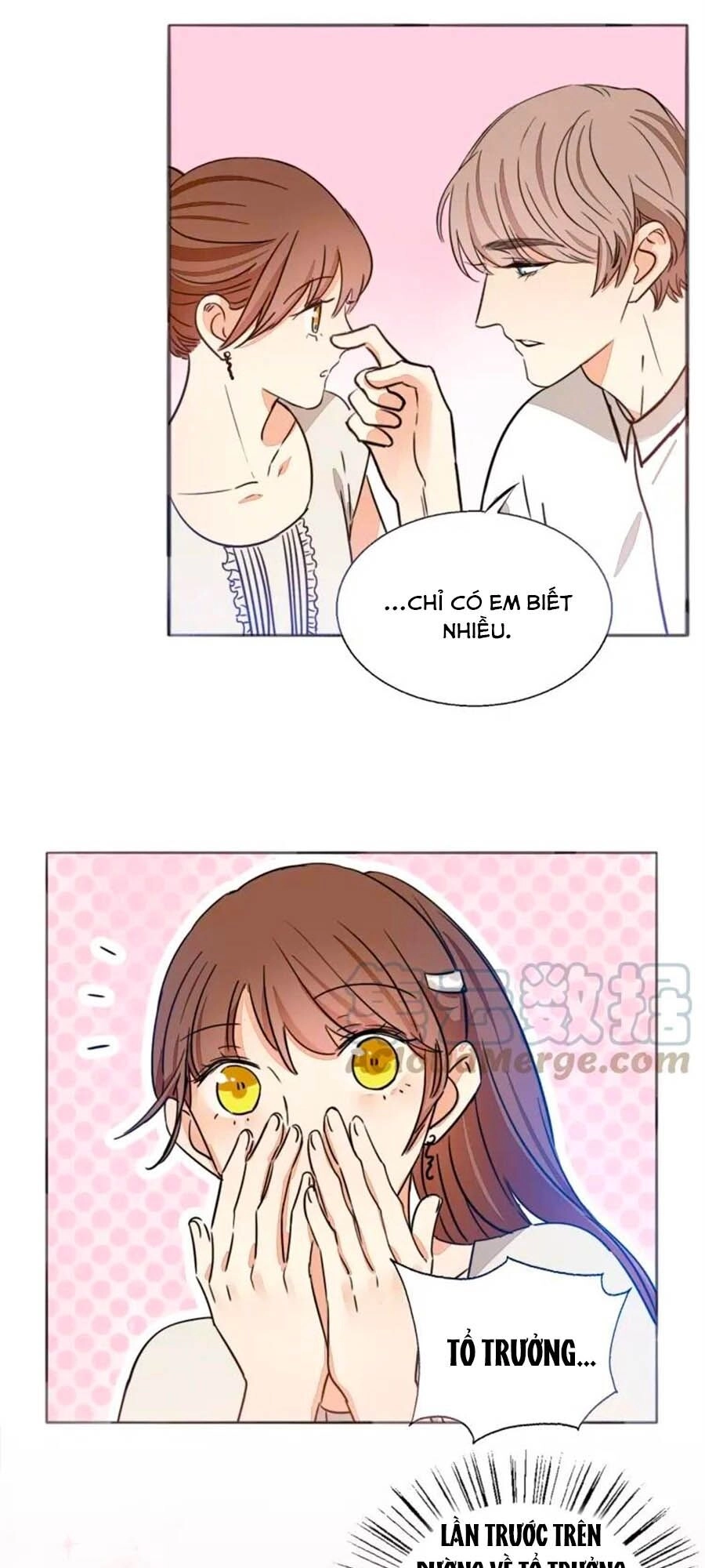 Mùi Hương Lãng Mạn Chapter 67 - 12