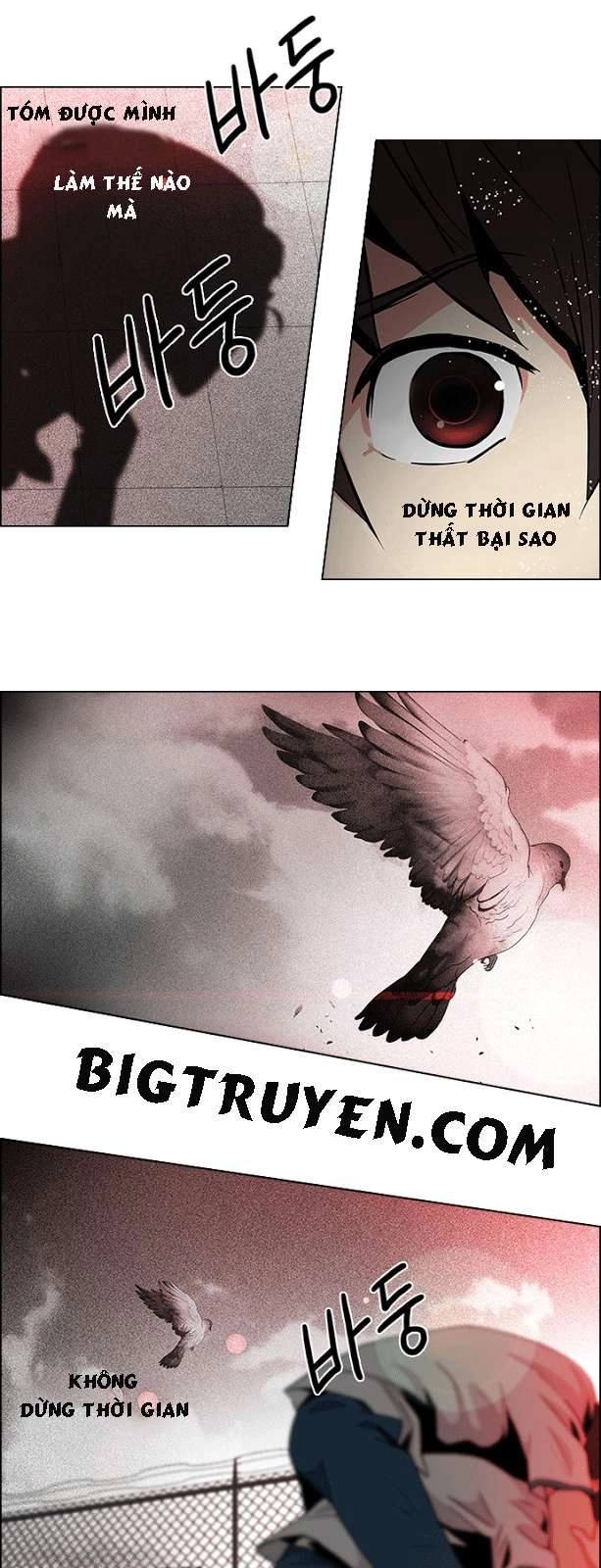 Dice Chapter 65 - 13