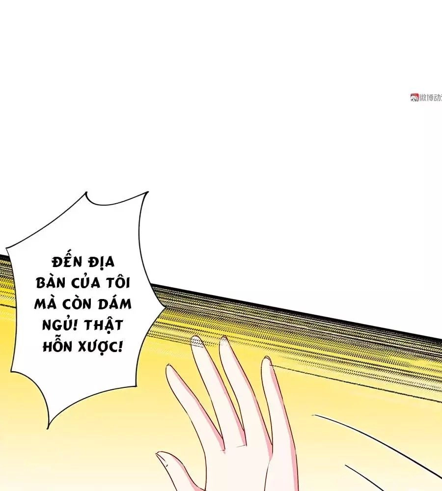 Yêu Tôi Đều Chết Cả Đi! Chapter 71 - 13