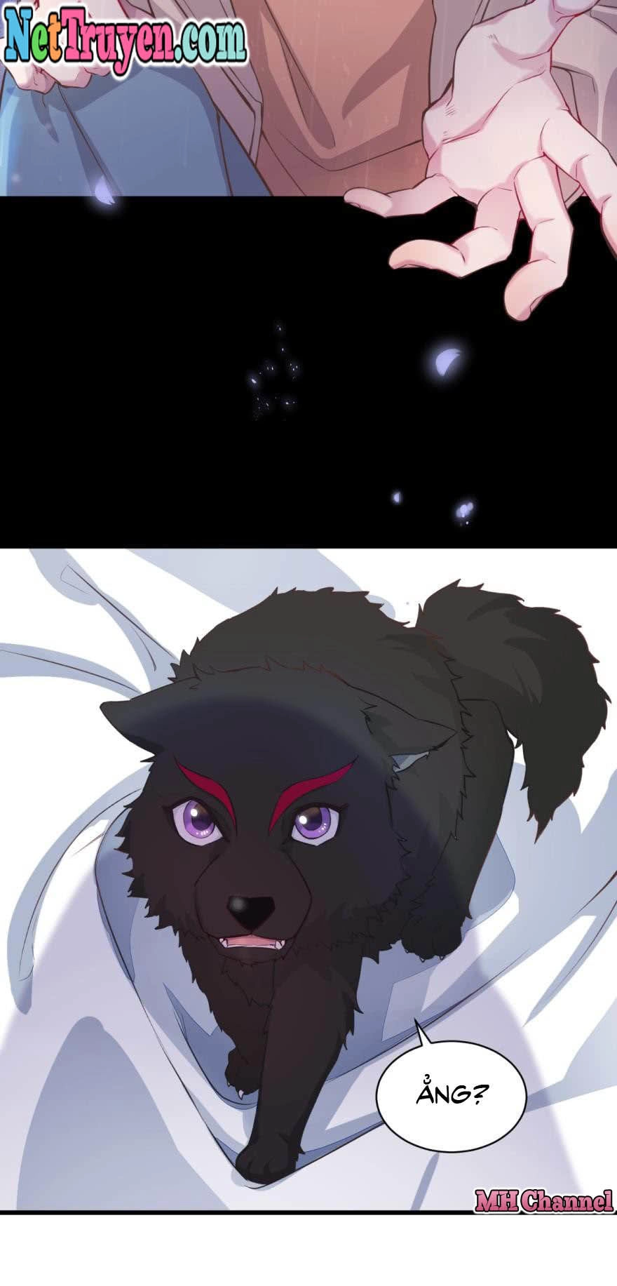 Lang Quân, Xin Đừng...! Chapter 3 - 26