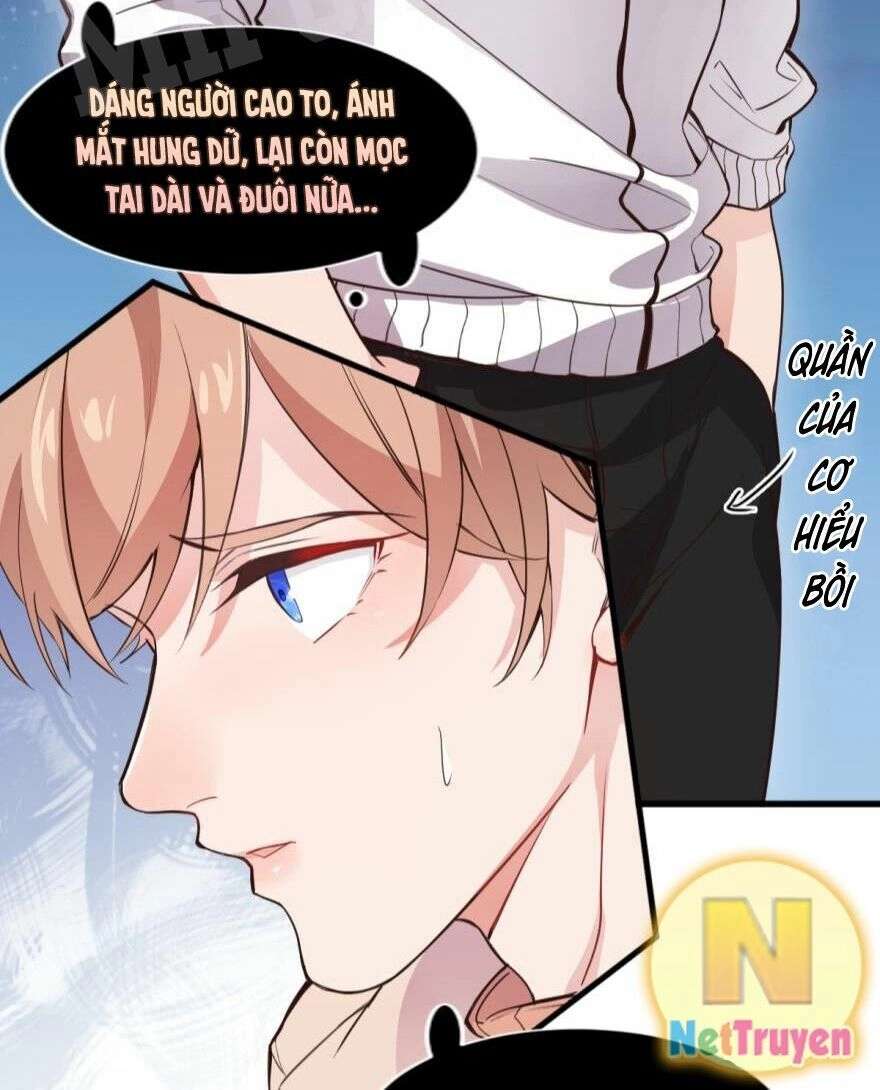 Lang Quân, Xin Đừng...! Chapter 5 - 22