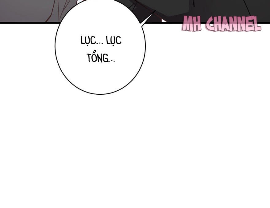 Lang Quân, Xin Đừng...! Chapter 16 - 35