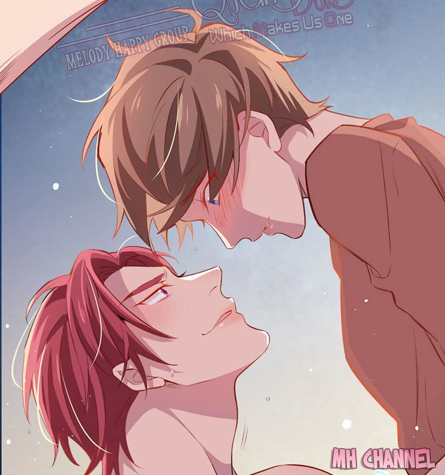 Lang Quân, Xin Đừng...! Chapter 19 - 11