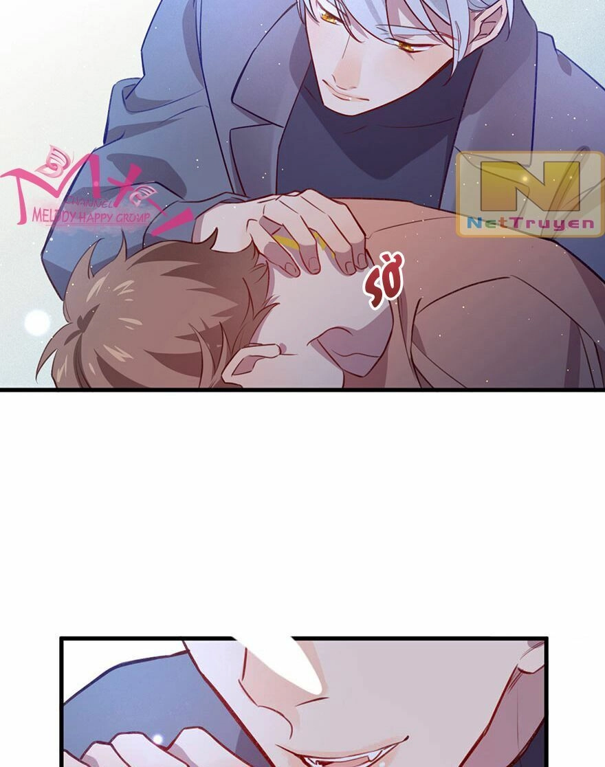 Lang Quân, Xin Đừng...! Chapter 37 - 19