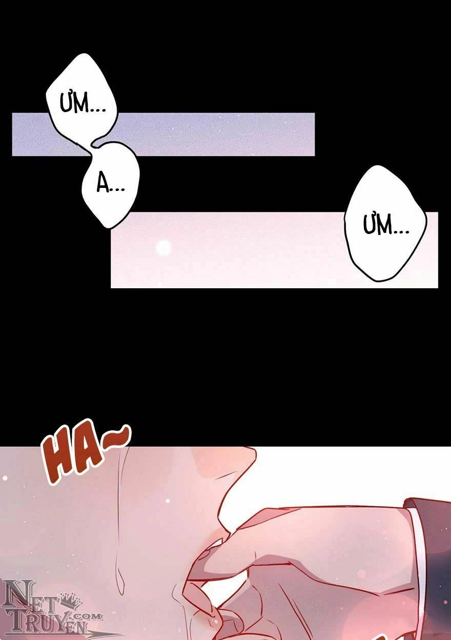 Lang Quân, Xin Đừng...! Chapter 42 - 5