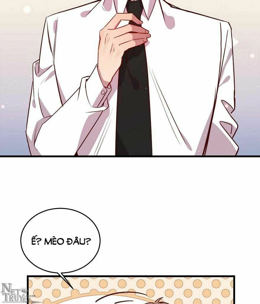 Lang Quân, Xin Đừng...! Chapter 46 - 19