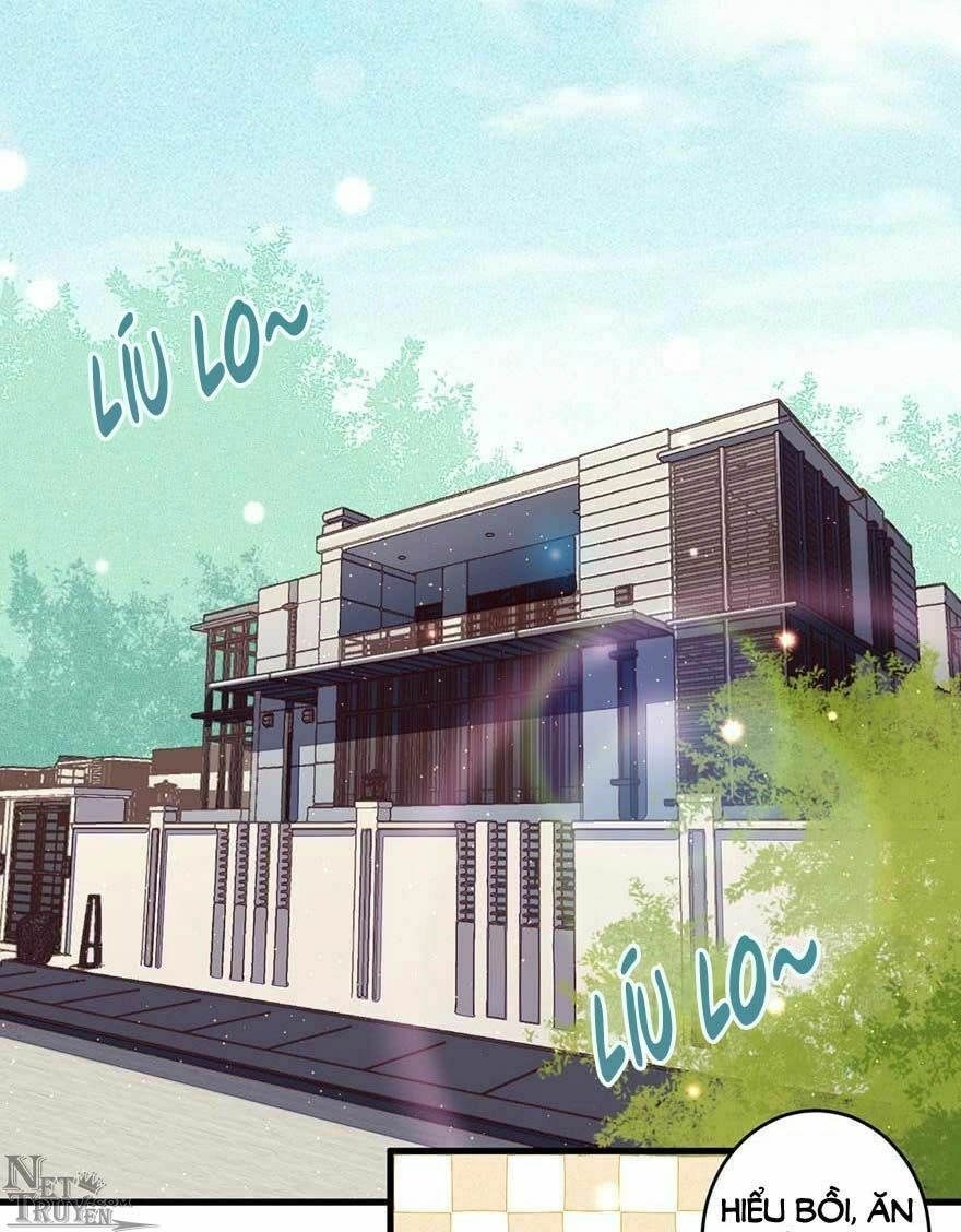 Lang Quân, Xin Đừng...! Chapter 47 - 4