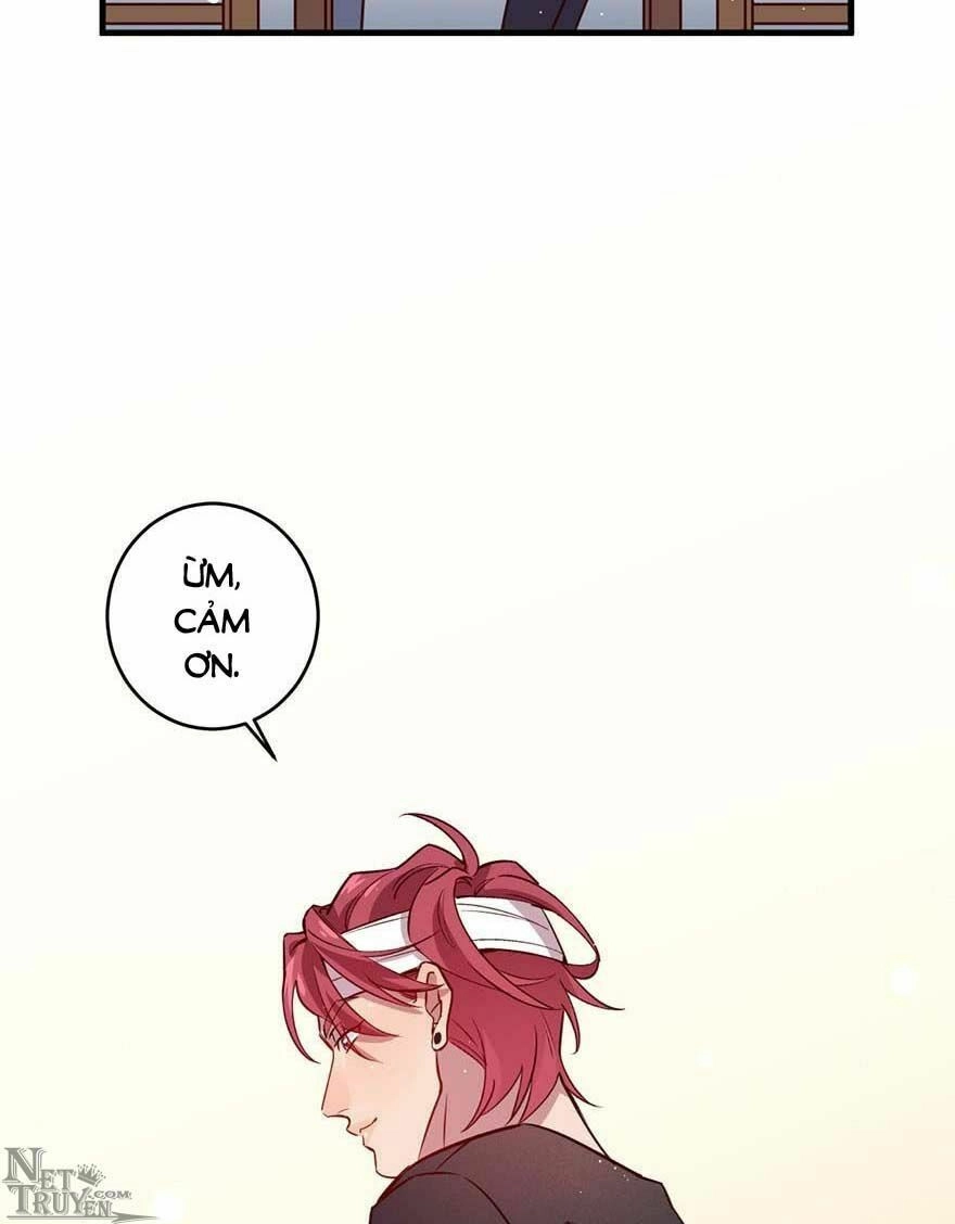 Lang Quân, Xin Đừng...! Chapter 47 - 10