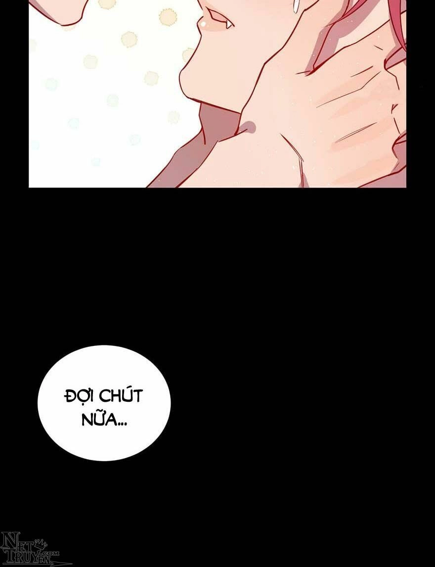 Lang Quân, Xin Đừng...! Chapter 48 - 16