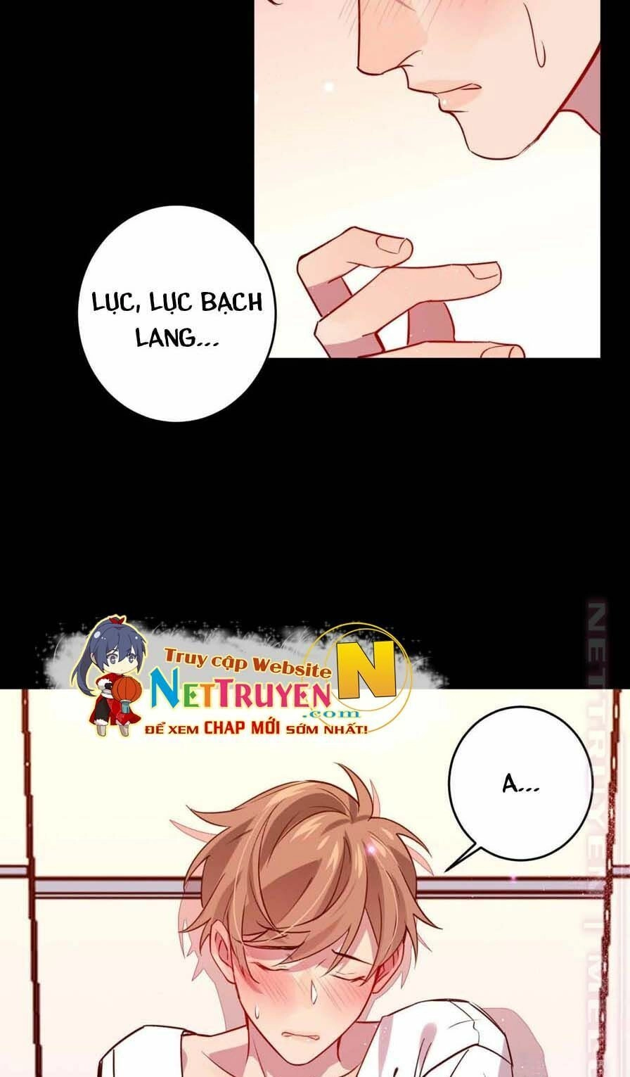 Lang Quân, Xin Đừng...! Chapter 53 - 29