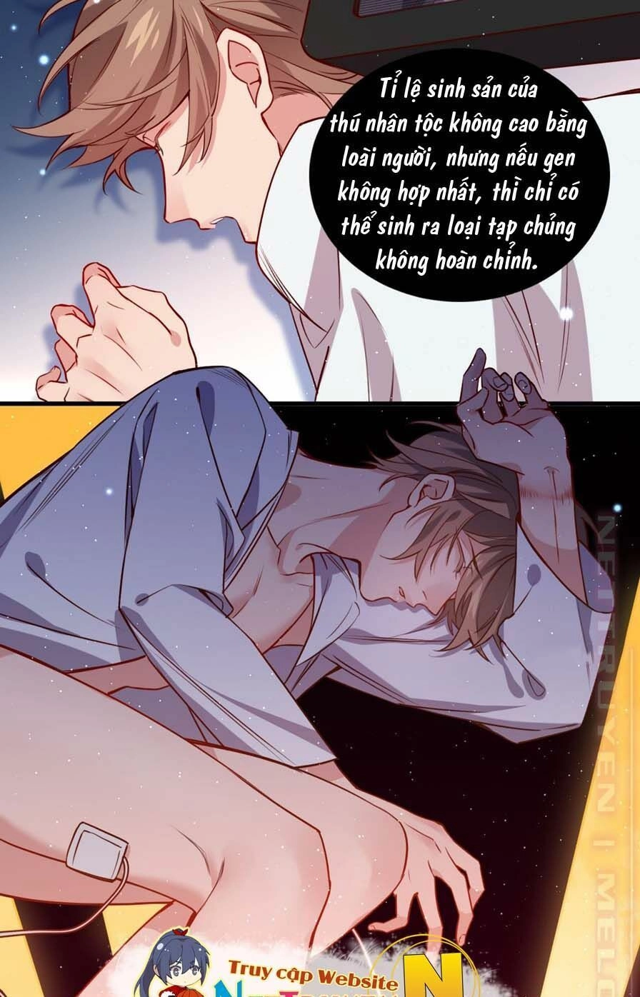 Lang Quân, Xin Đừng...! Chapter 59 - 21