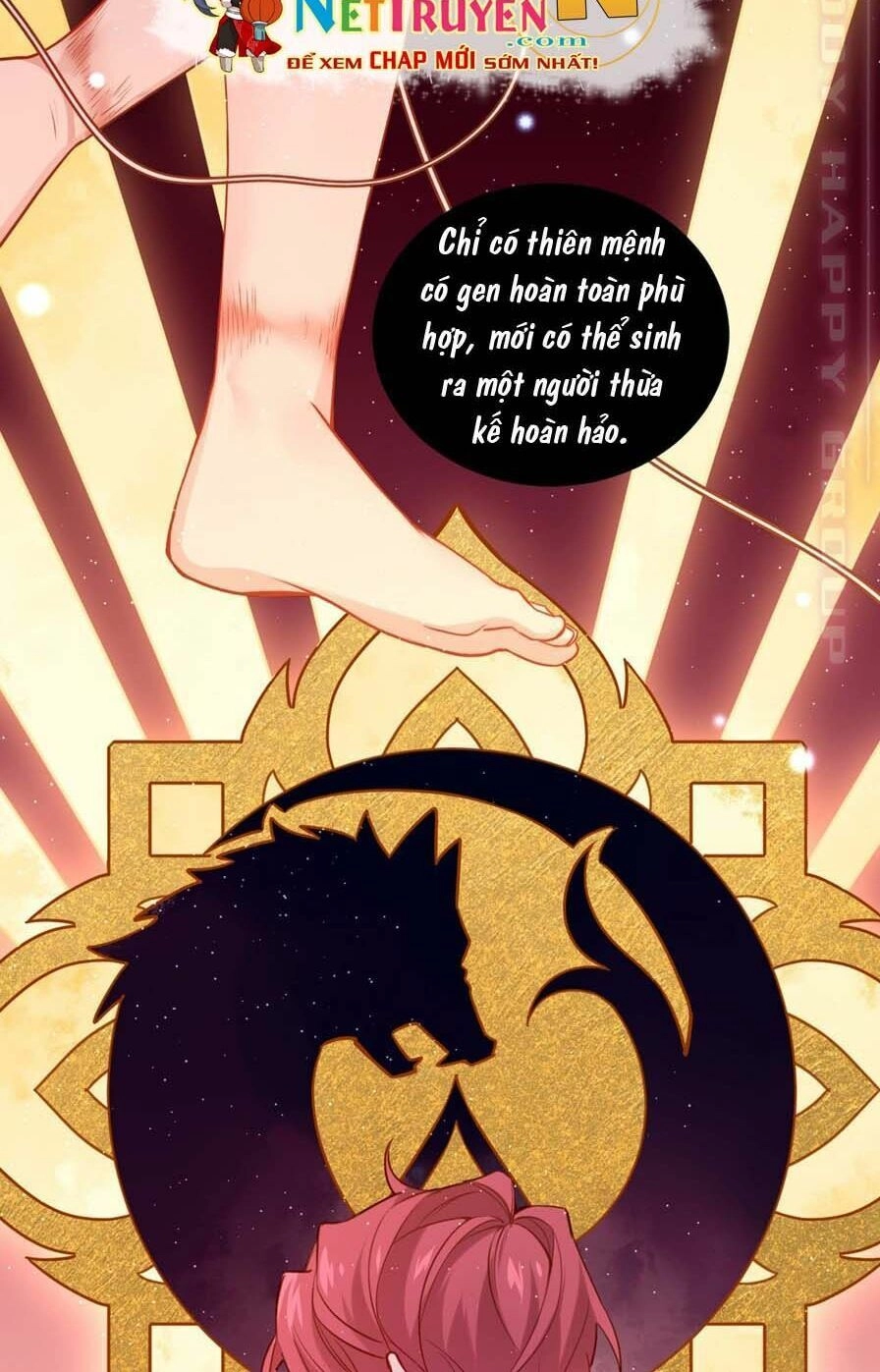 Lang Quân, Xin Đừng...! Chapter 59 - 22