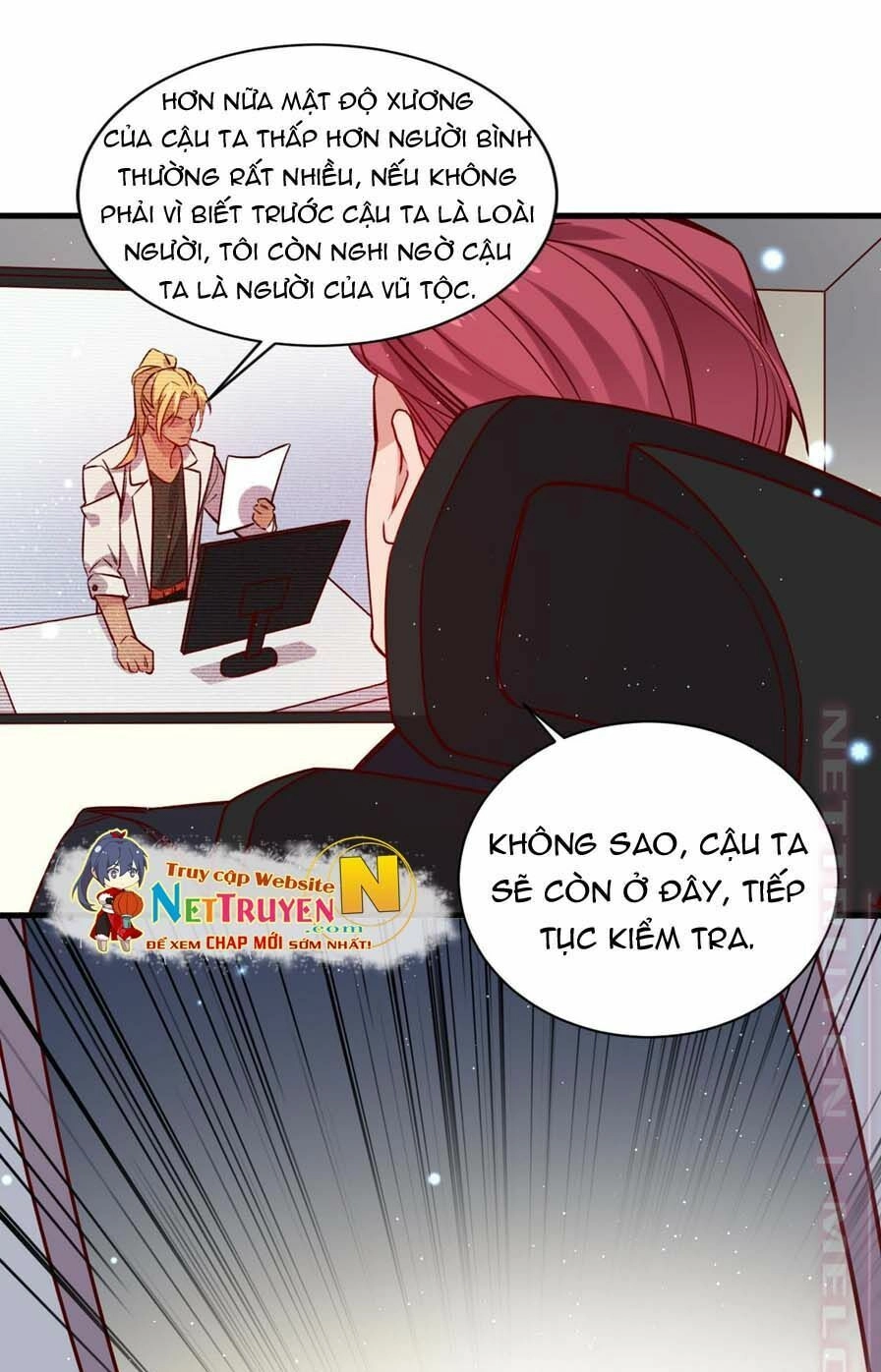 Lang Quân, Xin Đừng...! Chapter 59 - 25