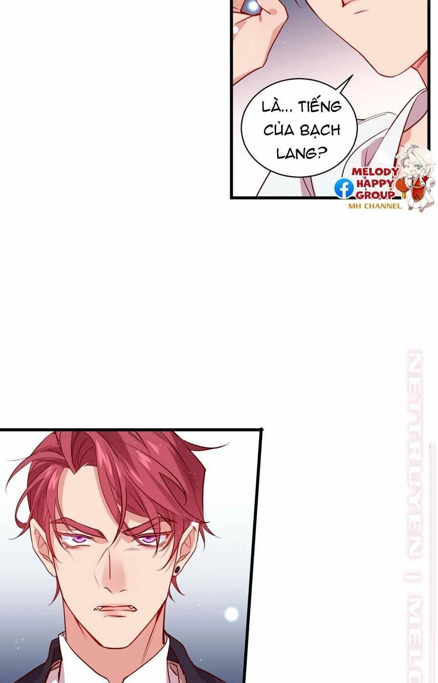 Lang Quân, Xin Đừng...! Chapter 59 - 27