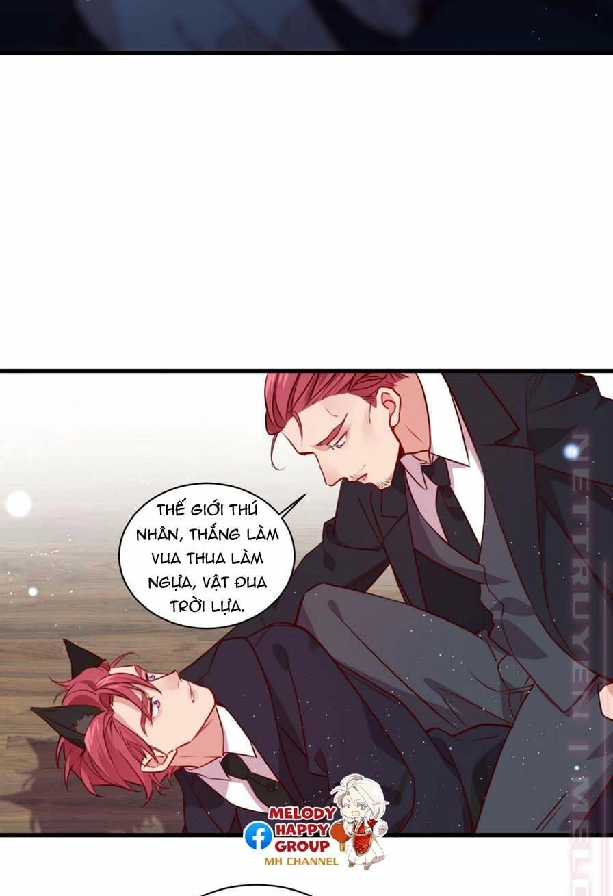 Lang Quân, Xin Đừng...! Chapter 59 - 35