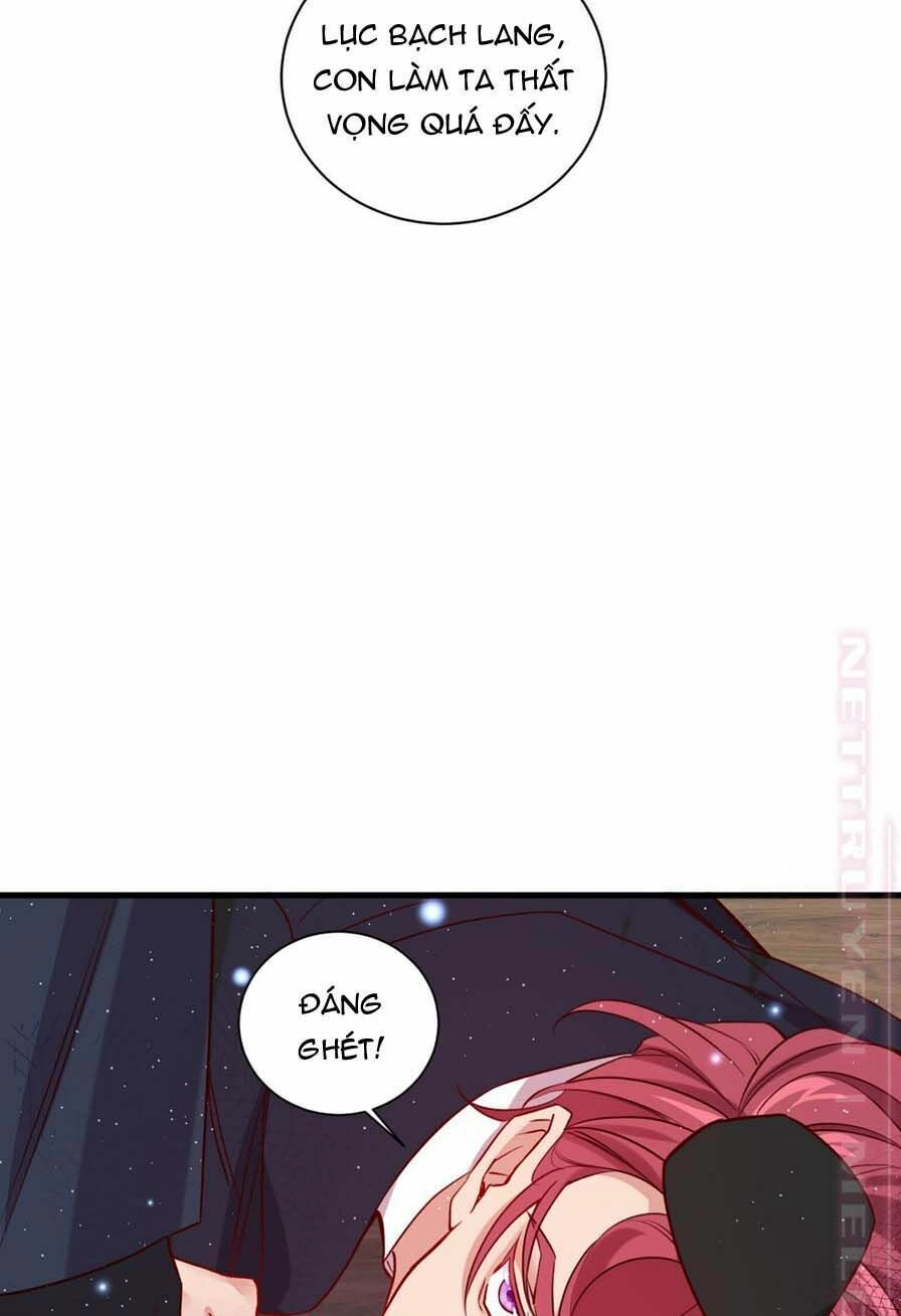 Lang Quân, Xin Đừng...! Chapter 59 - 37