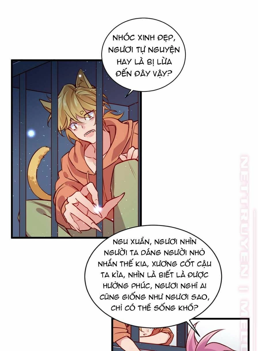 Lang Quân, Xin Đừng...! Chapter 60 - 21