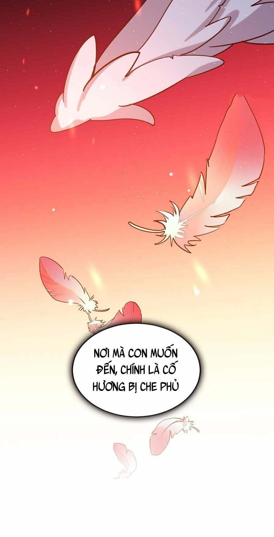 Lang Quân, Xin Đừng...! Chapter 64 - 10