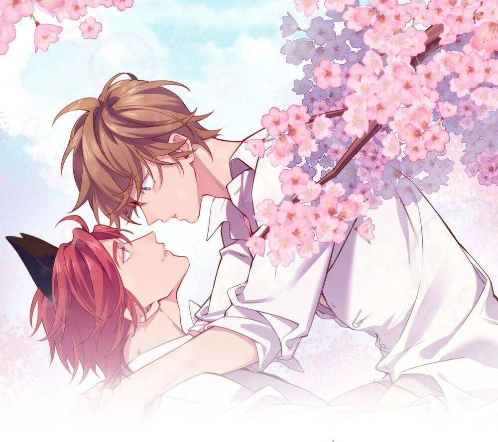 Lang Quân, Xin Đừng...! Chapter 77 - 4