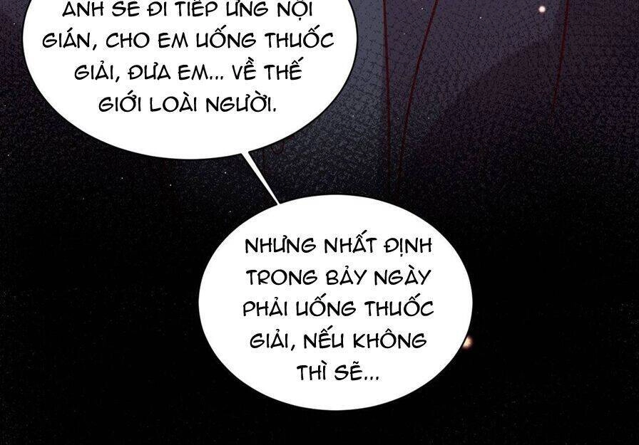 Lang Quân, Xin Đừng...! Chapter 77 - 36