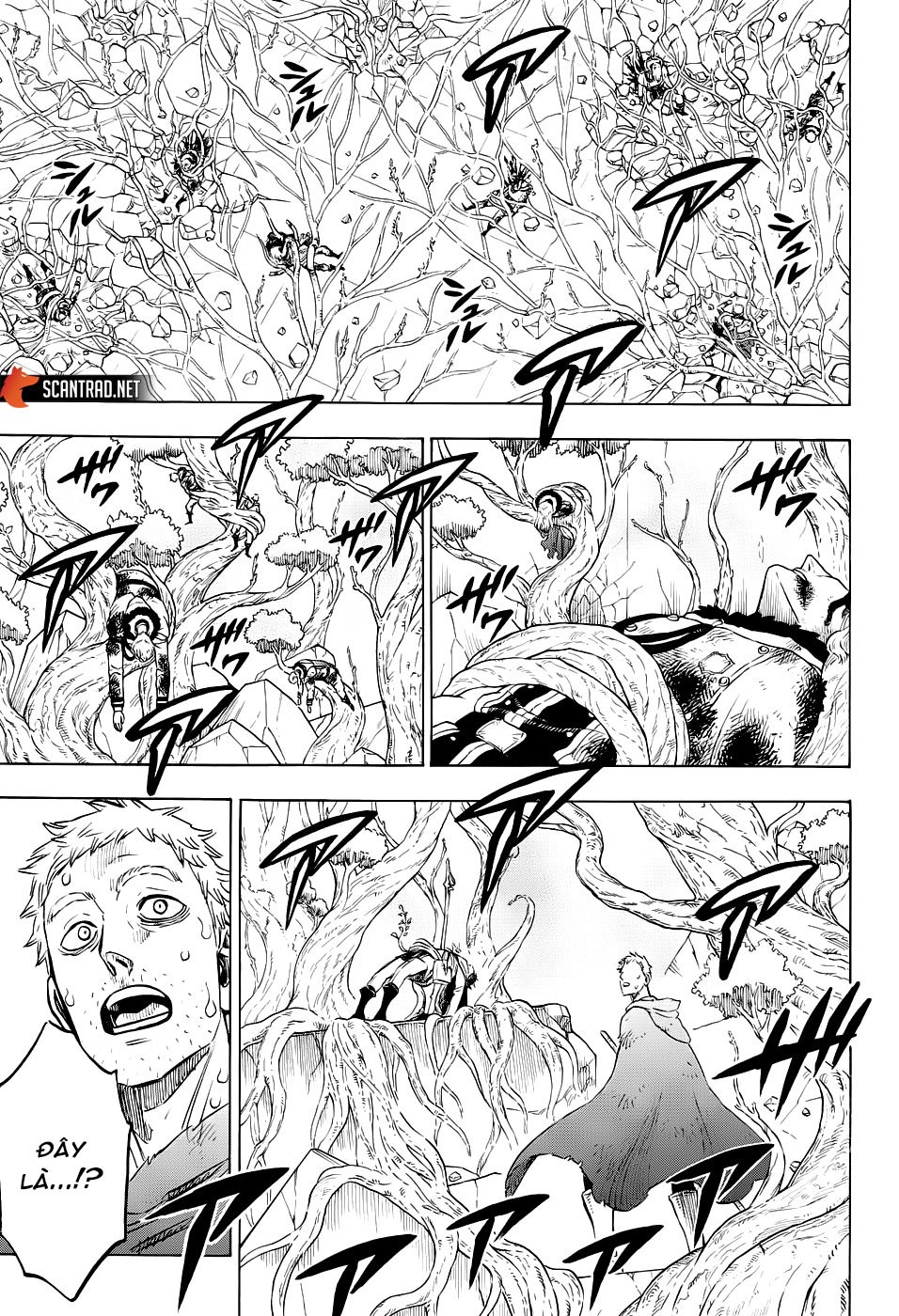 Black Clover - Thế Giới Phép Thuật Chapter 239 - 4