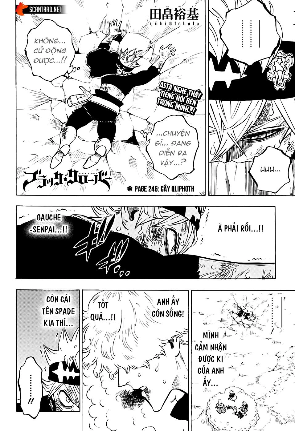 Black Clover - Thế Giới Phép Thuật Chapter 246 - 3