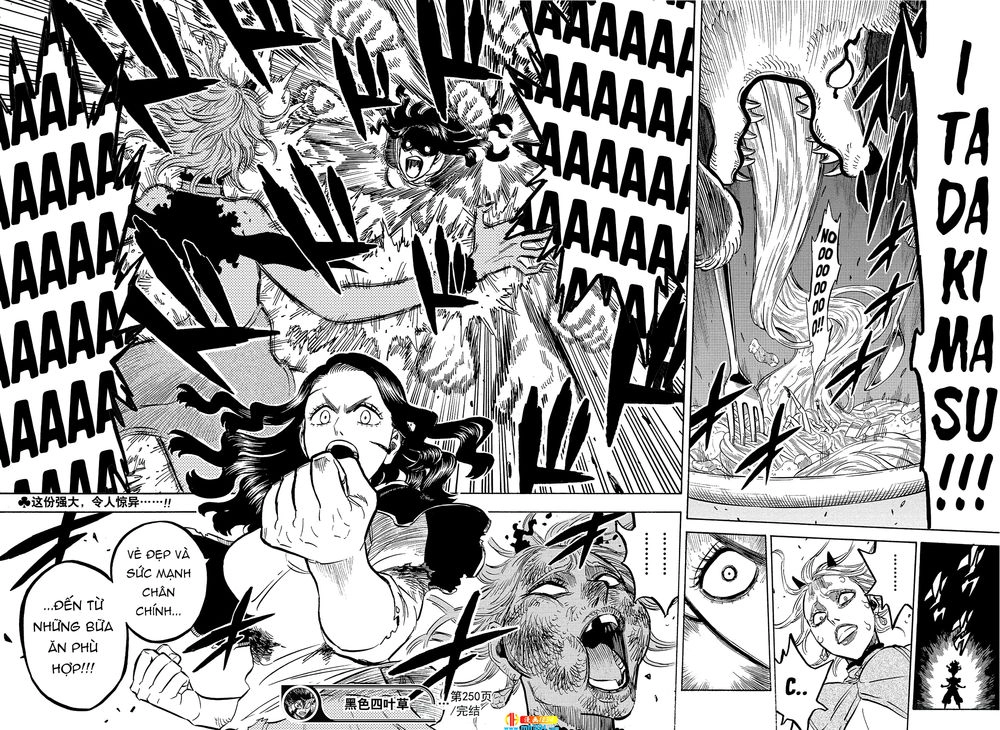 Black Clover - Thế Giới Phép Thuật Chapter 250 - 14