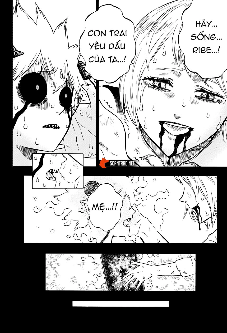 Black Clover - Thế Giới Phép Thuật Chapter 268 - 14