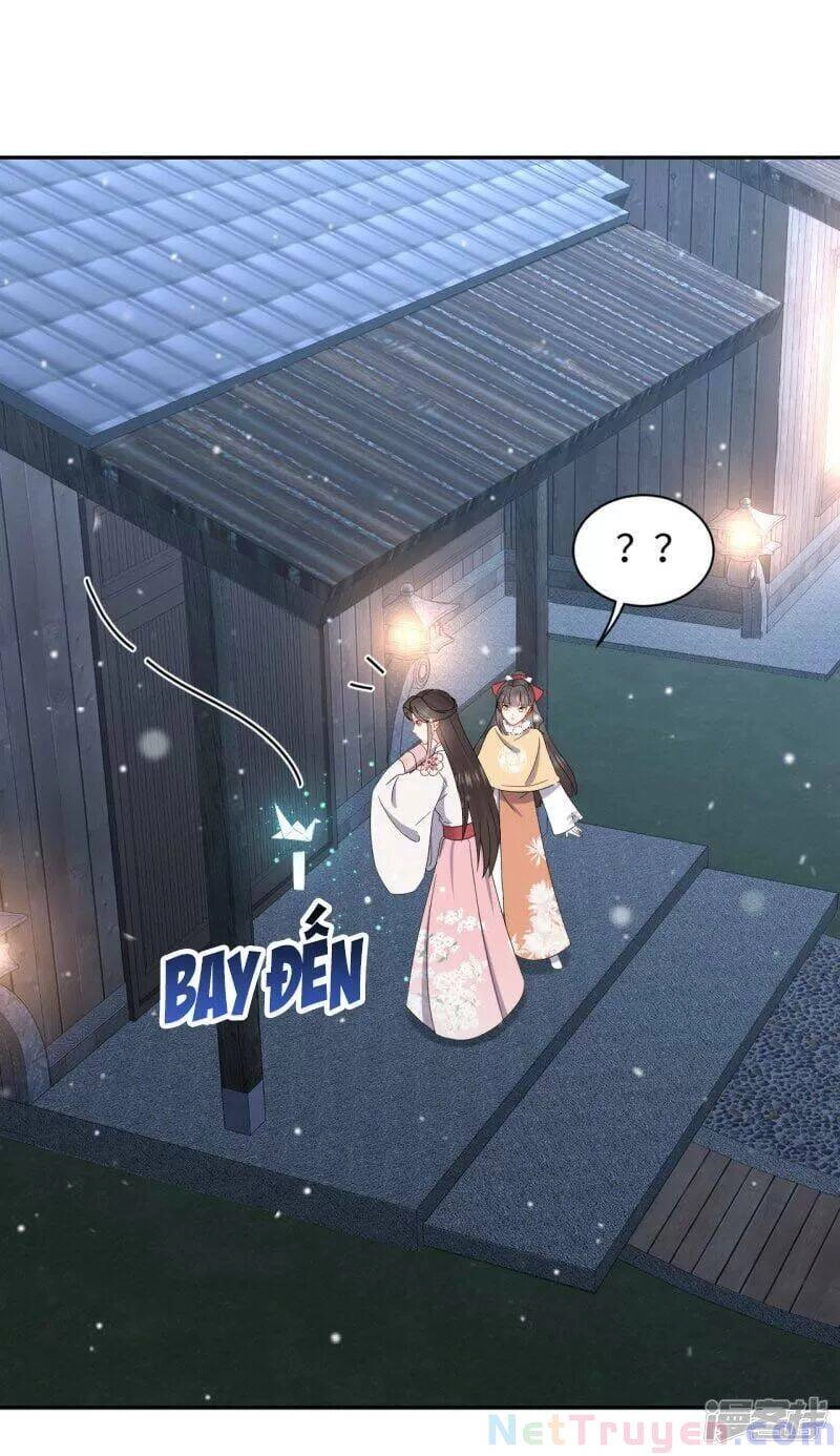 Vương Phi Thông Linh Chapter 45 - 13