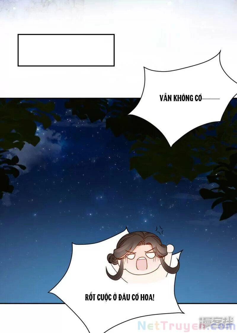 Vương Phi Thông Linh Chapter 46 - 22