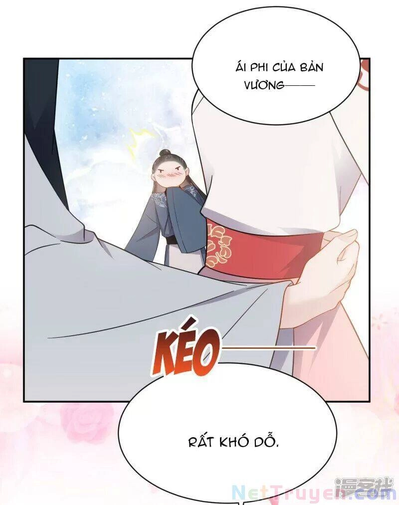 Vương Phi Thông Linh Chapter 48 - 27