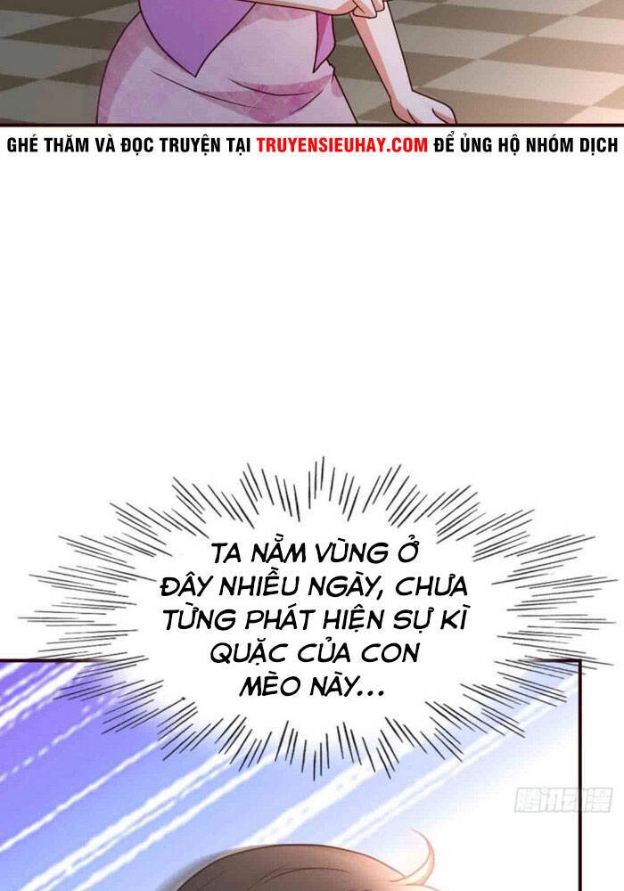 Trọng Sinh Tu Chân Tại Đô Thị Chapter 115 - 23