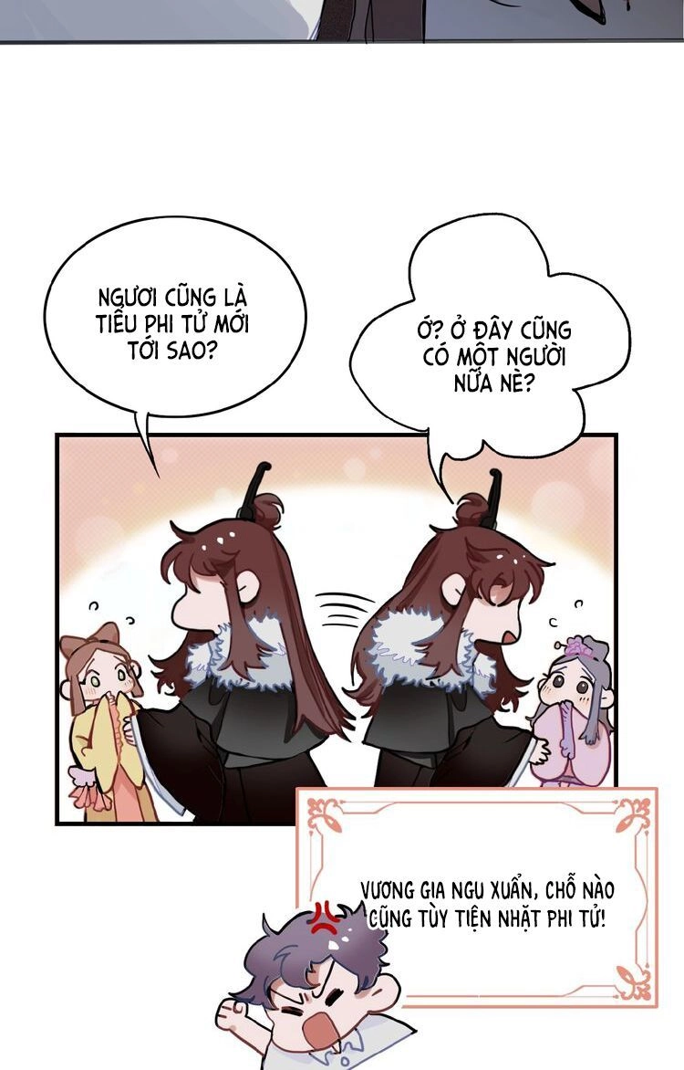 Trực Nam Tiểu Kiều Phi Của Vương Phủ Chapter 1 - 3