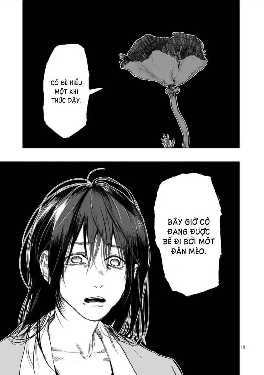 After God Chapter 16 - 19