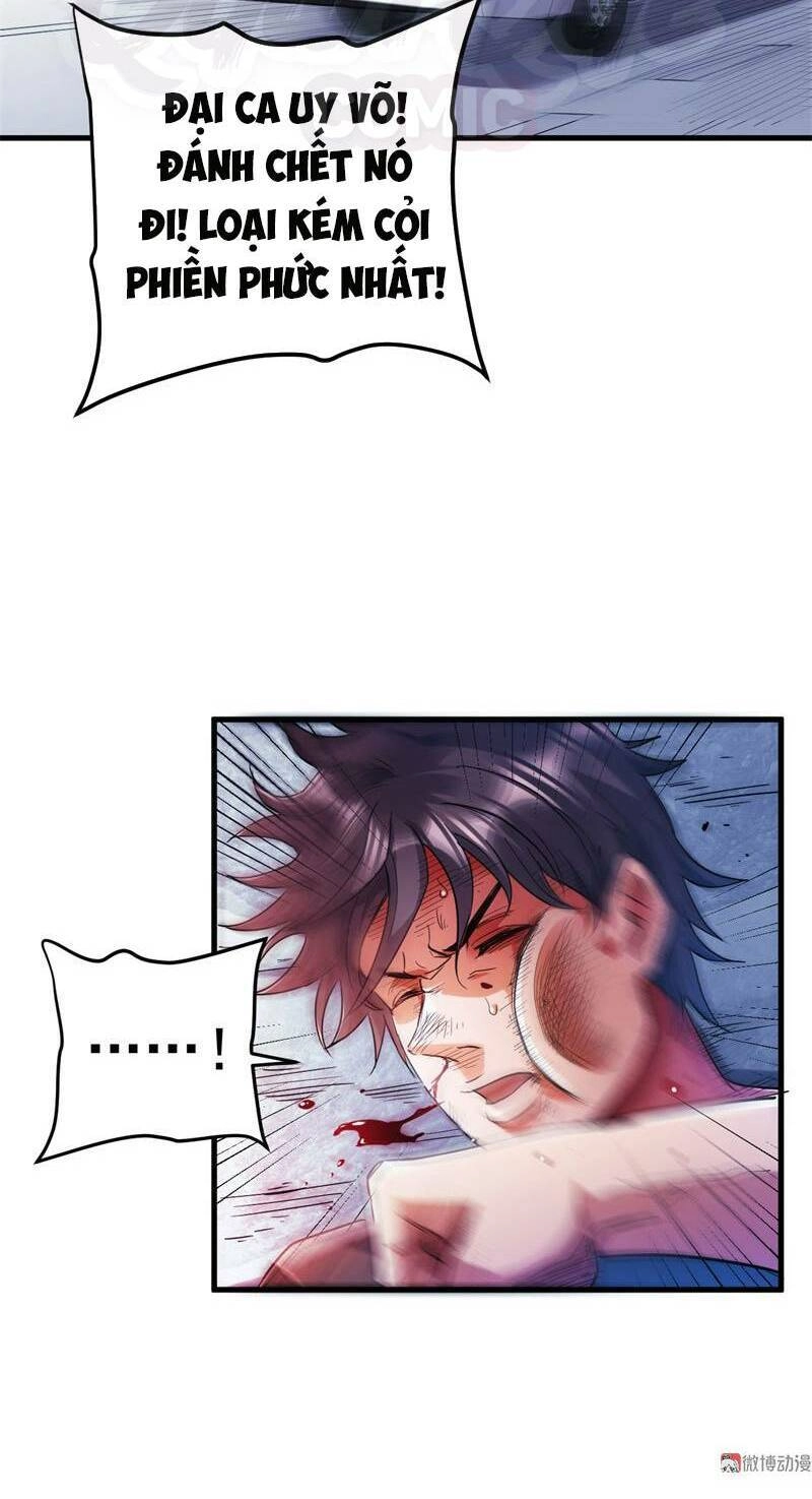 Sau Mạt Thế Tôi Trở Thành Zombie Chapter 2 - 12