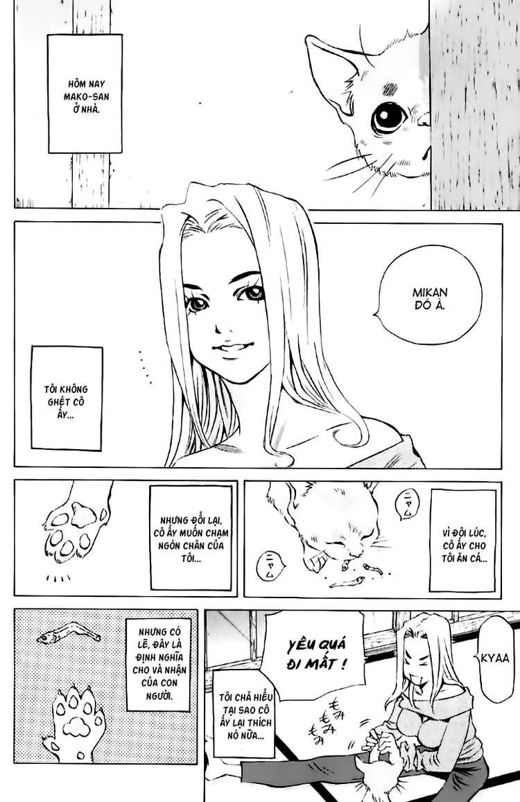 Pastel Chapter 123.5 - 7
