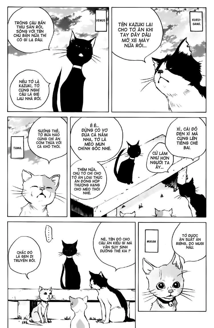 Pastel Chapter 123.5 - 13