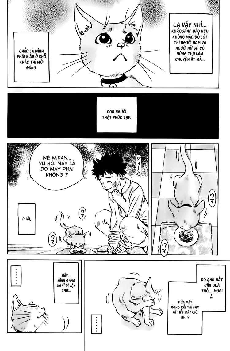 Pastel Chapter 123.5 - 19