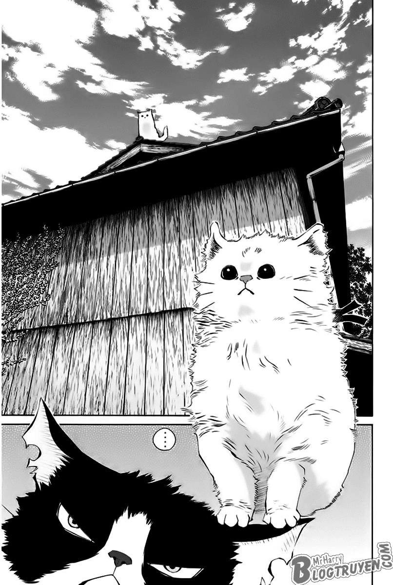 Pastel Chapter 150 - 12